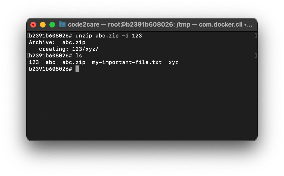 Unzip a Zip file from Terminal Command